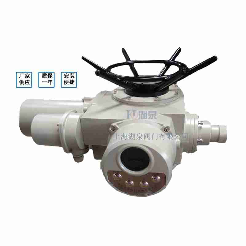 閥門電動裝置（dzw05,10,20，30,45,60，90,12