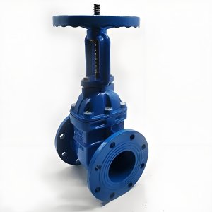 手動(dòng)閘閥Z41T-16 DN50/DN65廠家直銷，上海發(fā)